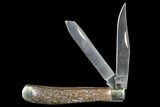 Pocketknife With Fossil Dinosaur Bone (Gembone) Inlays #115046-3